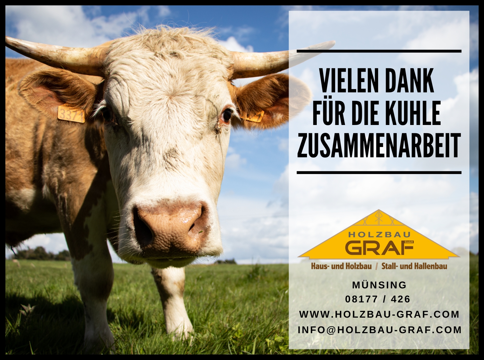 Zeitungsanzeigen für 